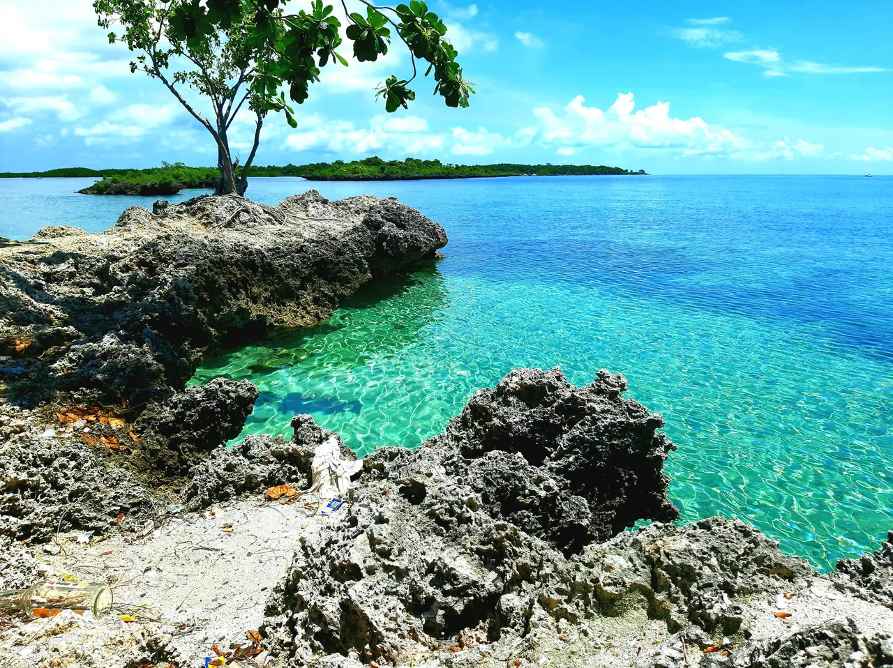 20201004_105834.jpg