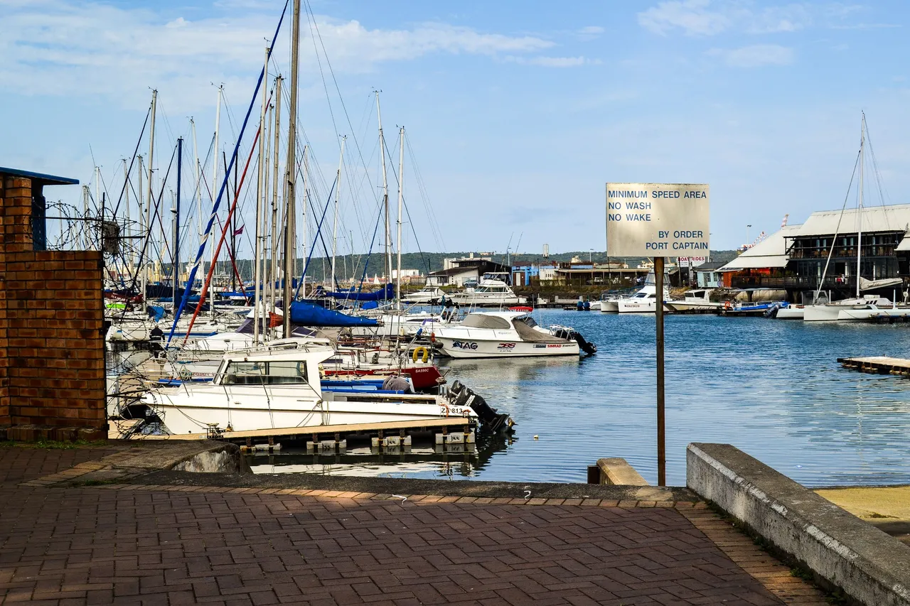 DSC_2809-2.jpg