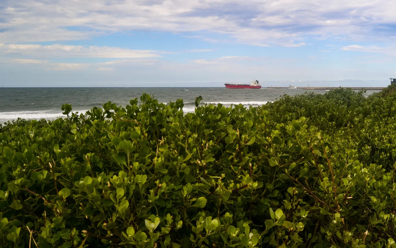 DSC_1699.jpg