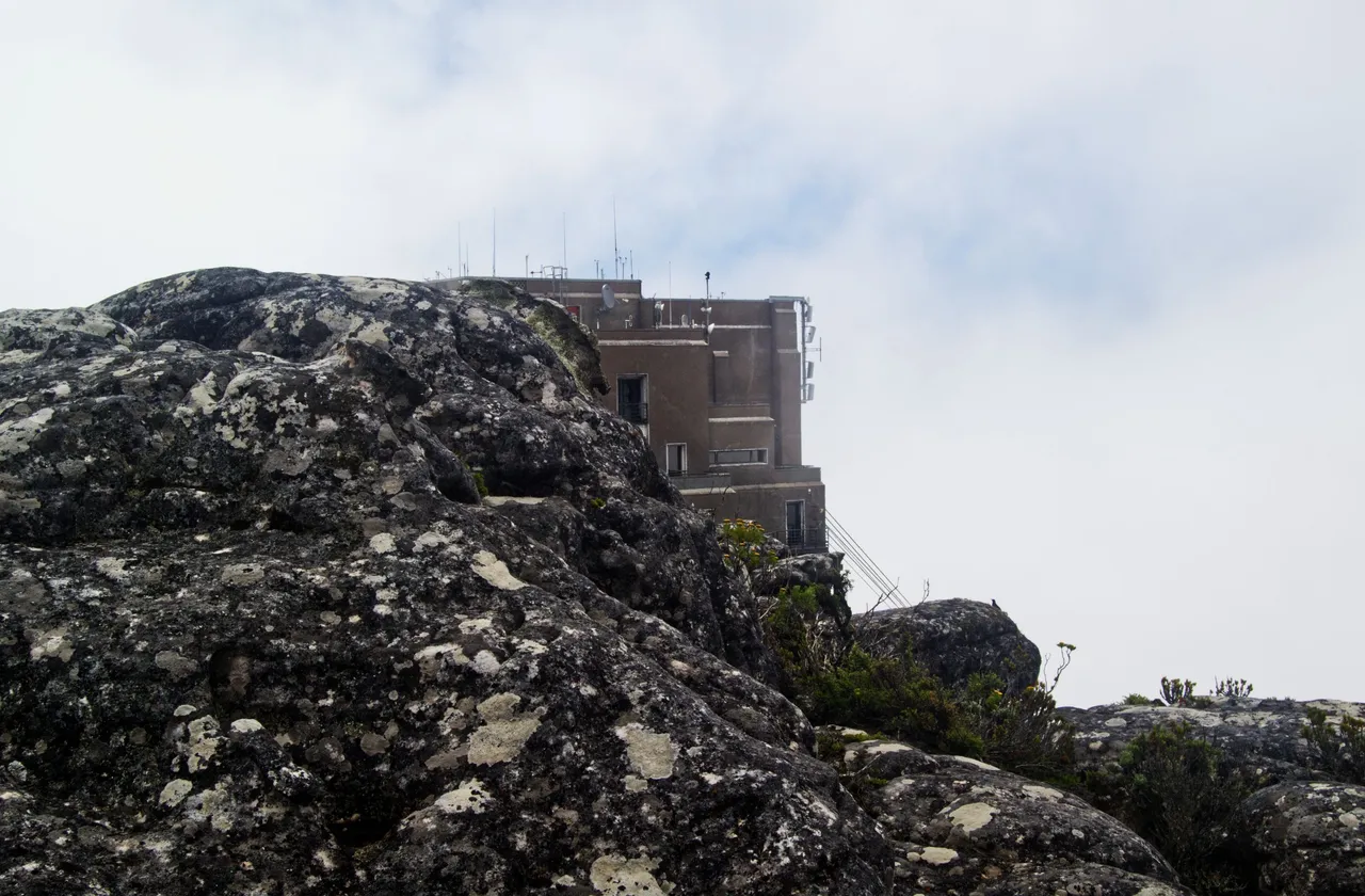 DSC_1539.jpg
