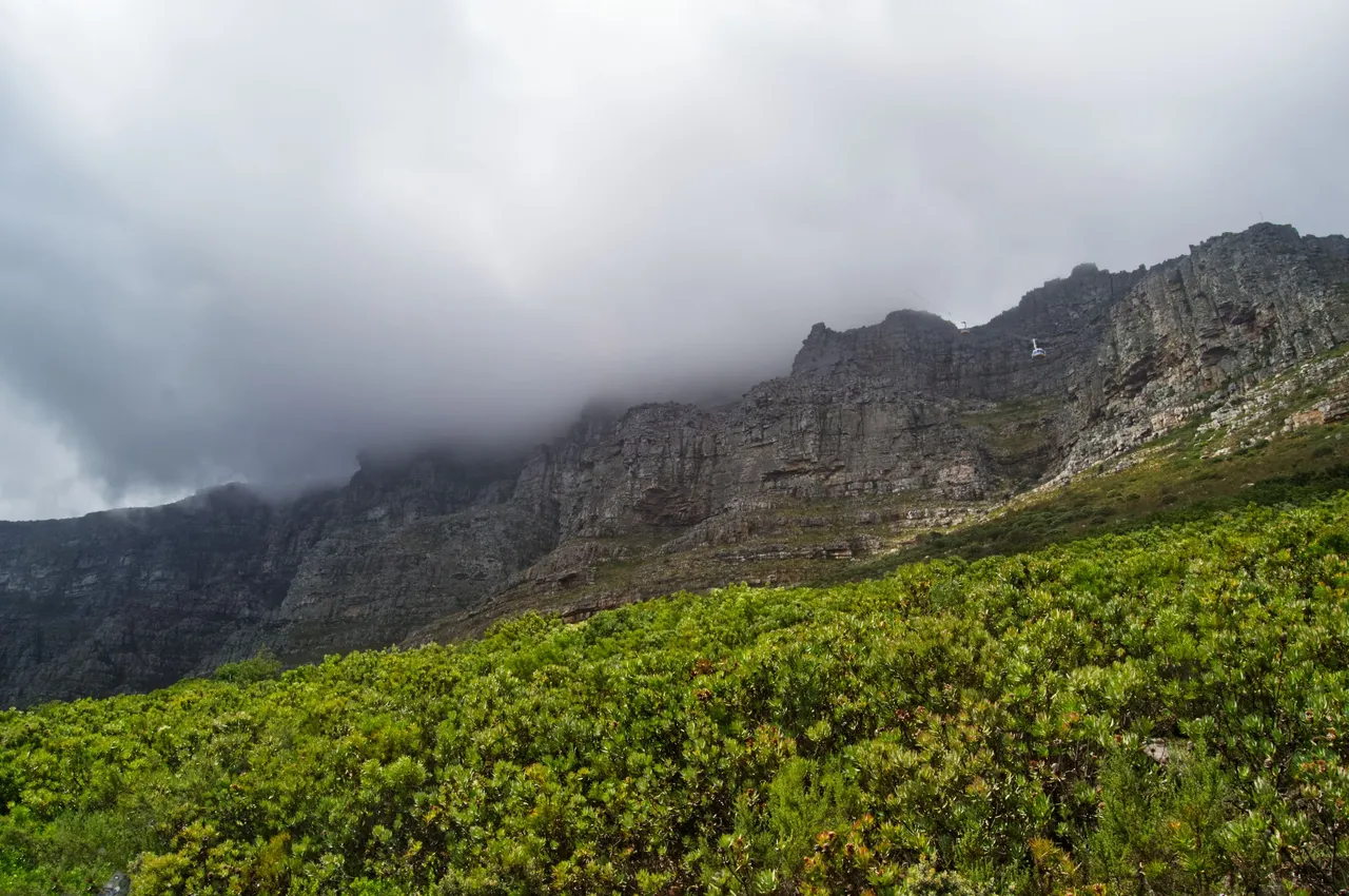 DSC_1420.jpg