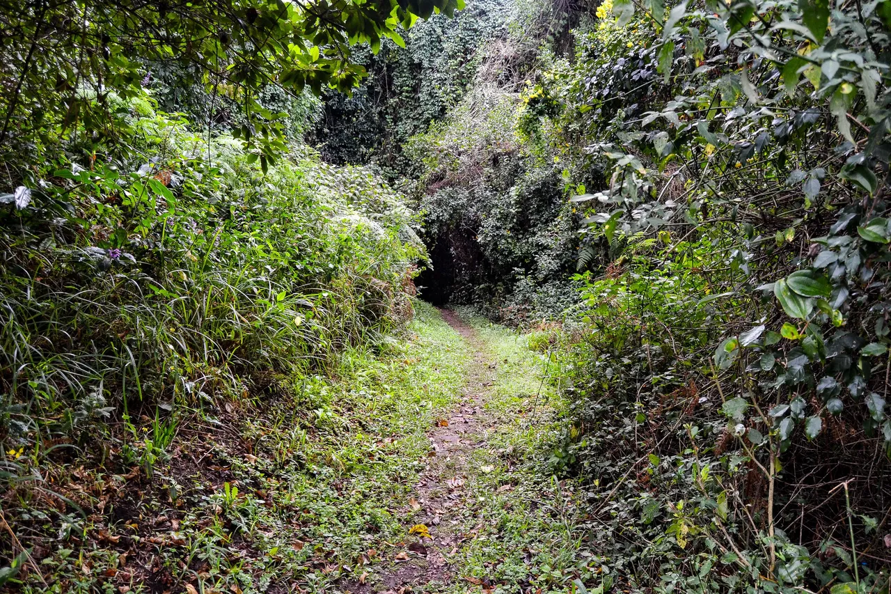 DSC_2201.jpg