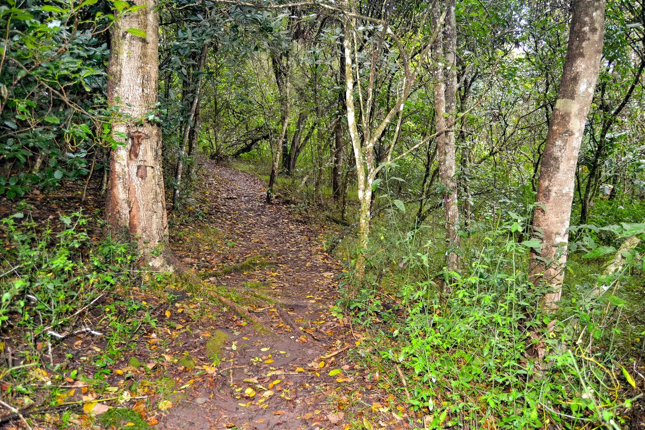 DSC_2193.jpg