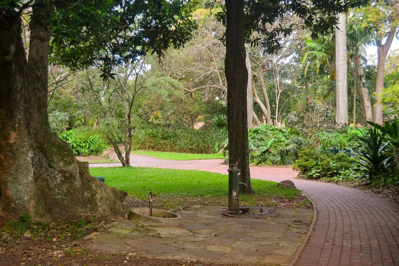 DSC_0720.jpg