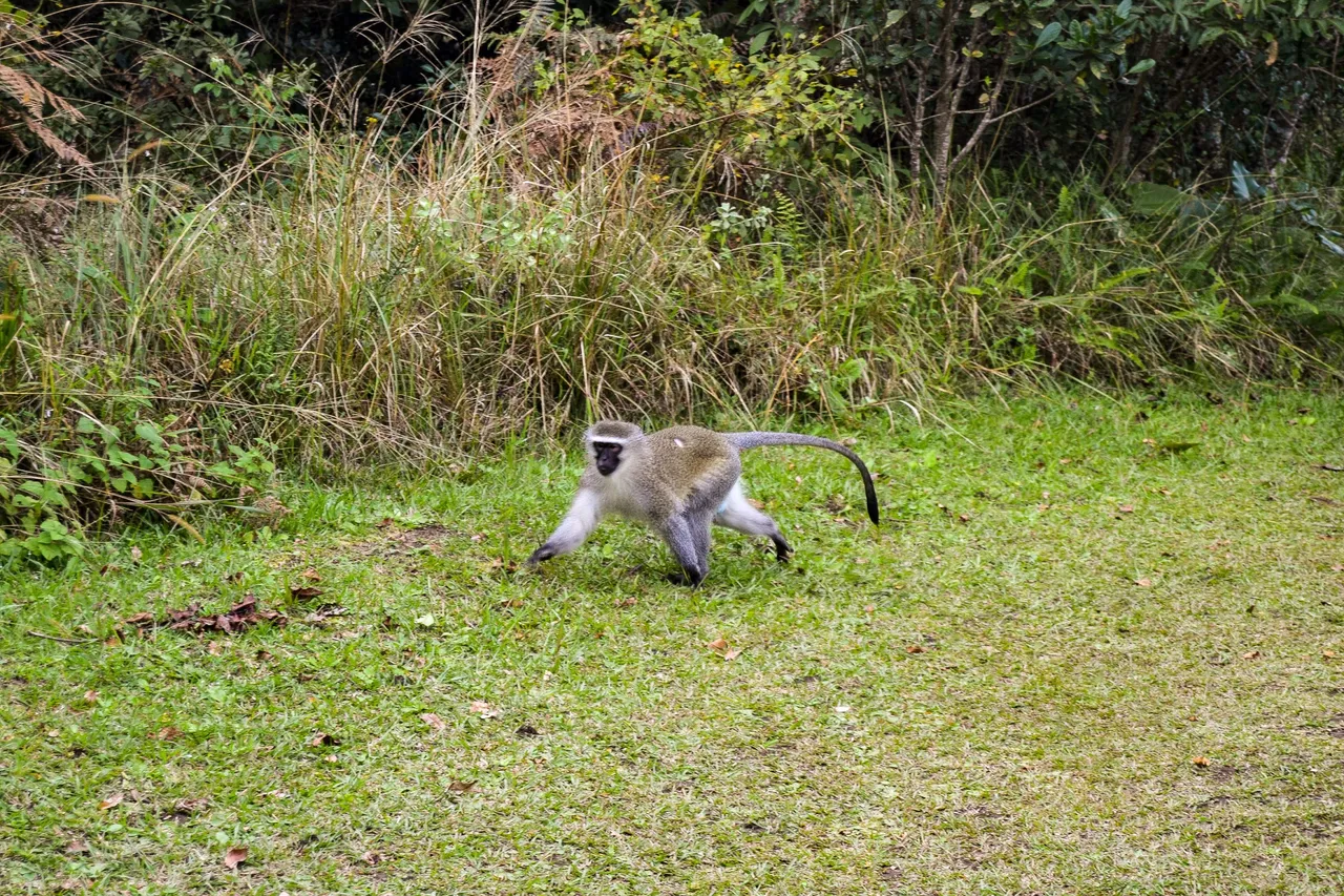 DSC_2224.jpg