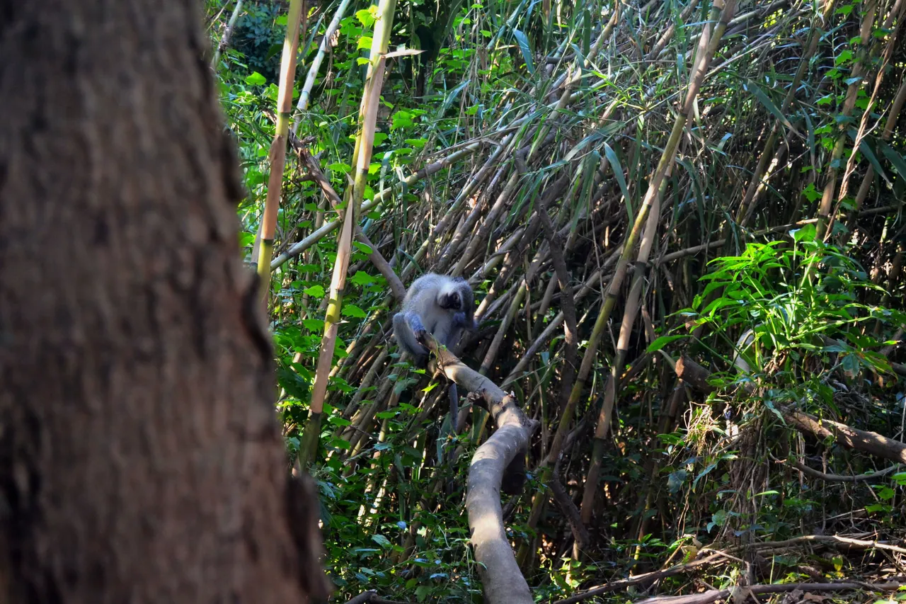 DSC_9932.jpg