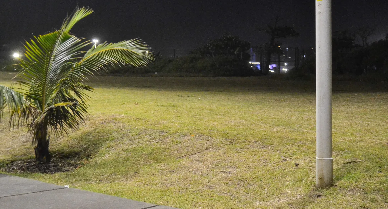 DSC_6854.jpg