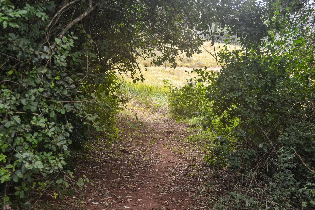 DSC_7317.jpg