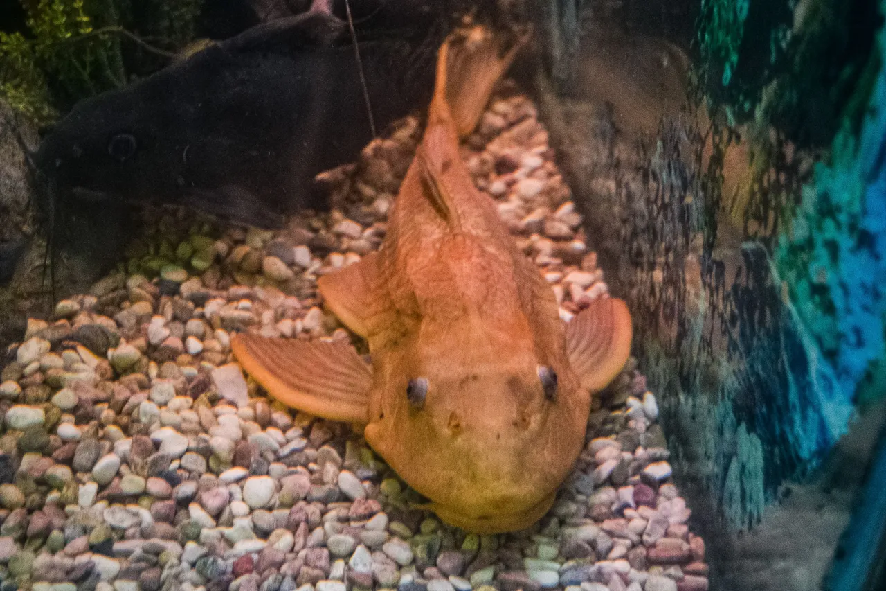 DSC_8540.jpg
