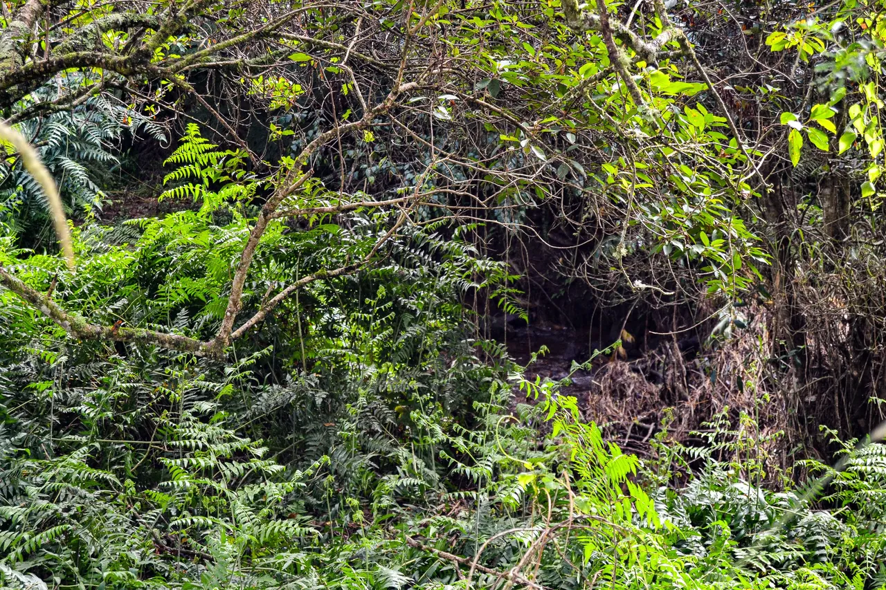 DSC_2164.jpg