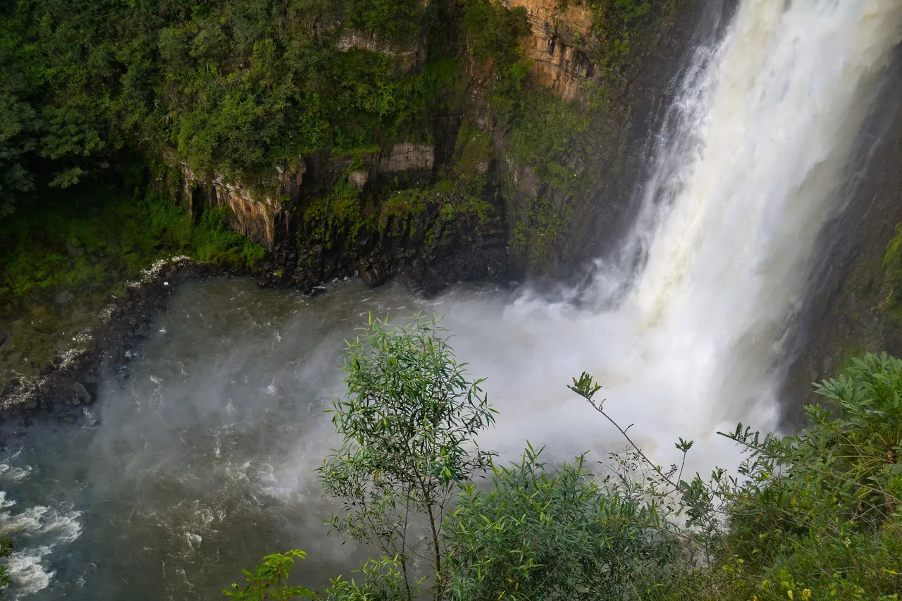 DSC_2044.jpg