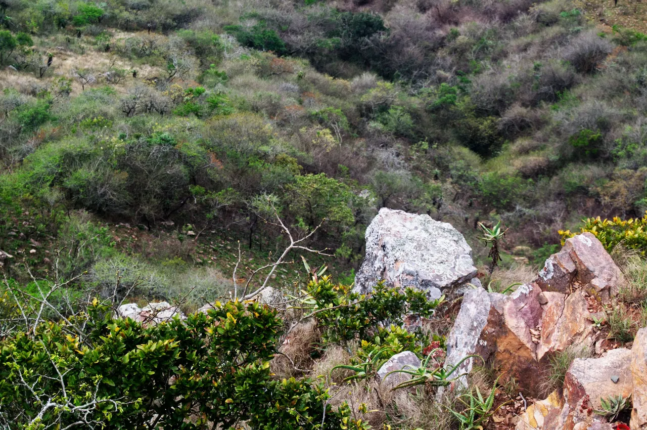 DSC_0876.jpg