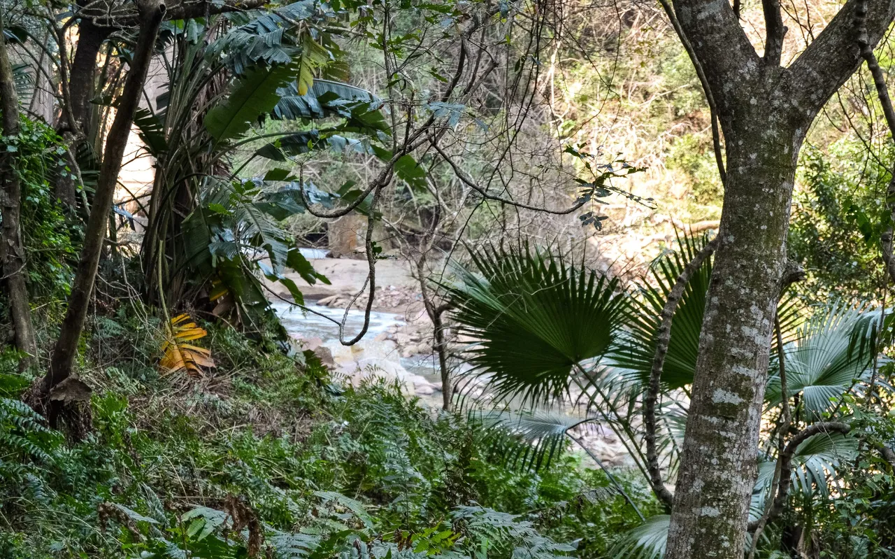 DSC_4088.jpg