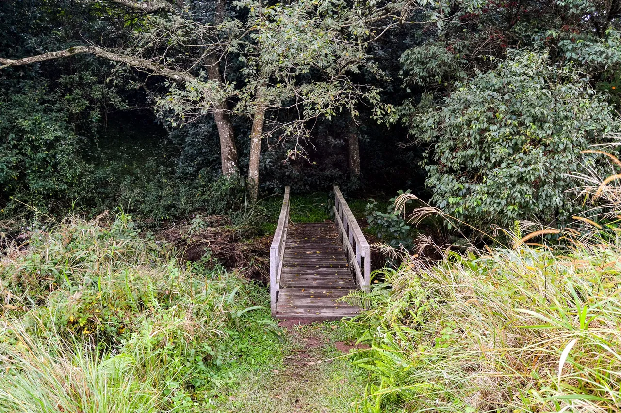 DSC_2171.jpg