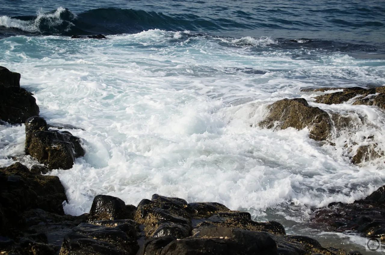 DSC_2420.jpg