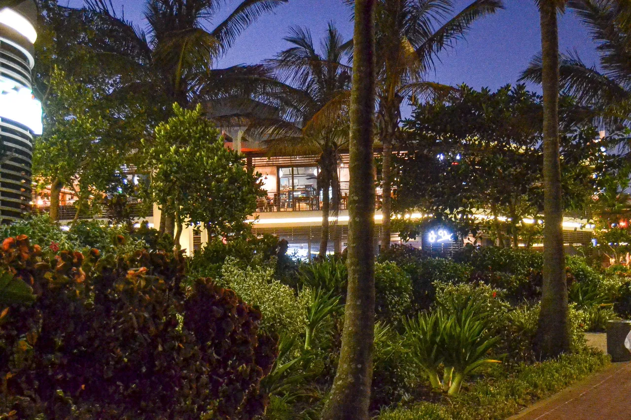 DSC_6613.jpg
