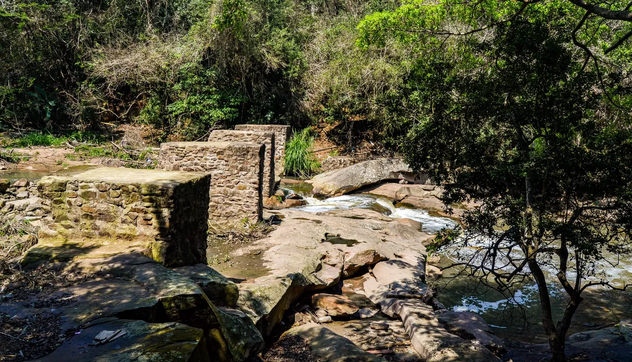 DSC_4018.jpg