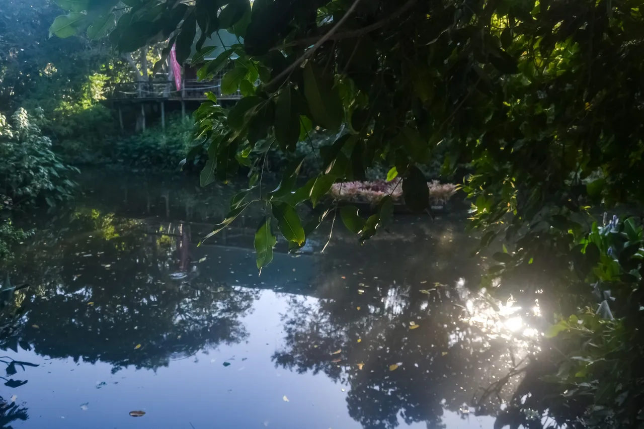 DSC_8557.jpg
