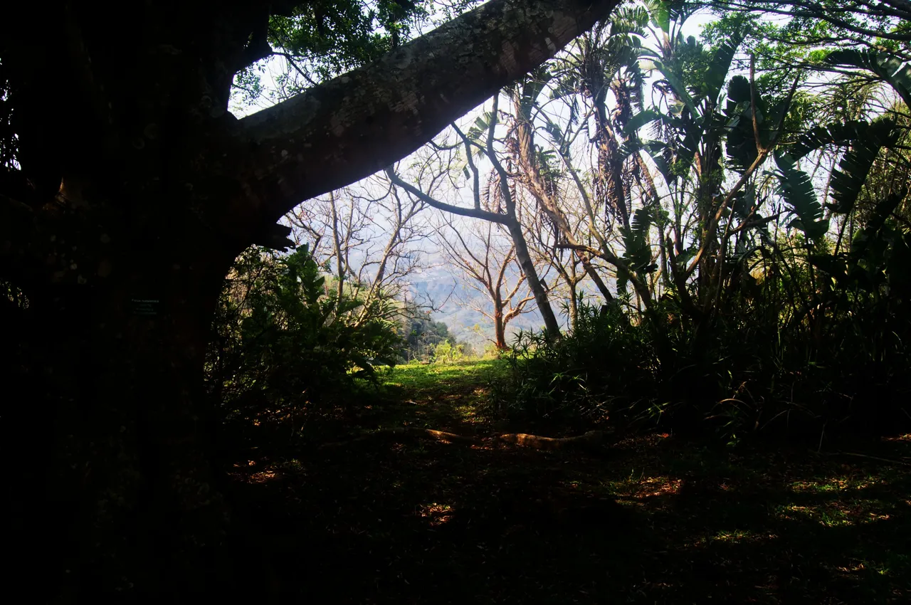 DSC_0855.jpg
