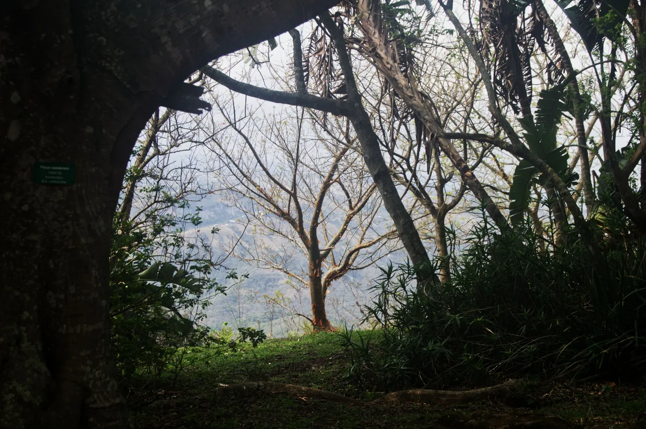 DSC_0852.jpg