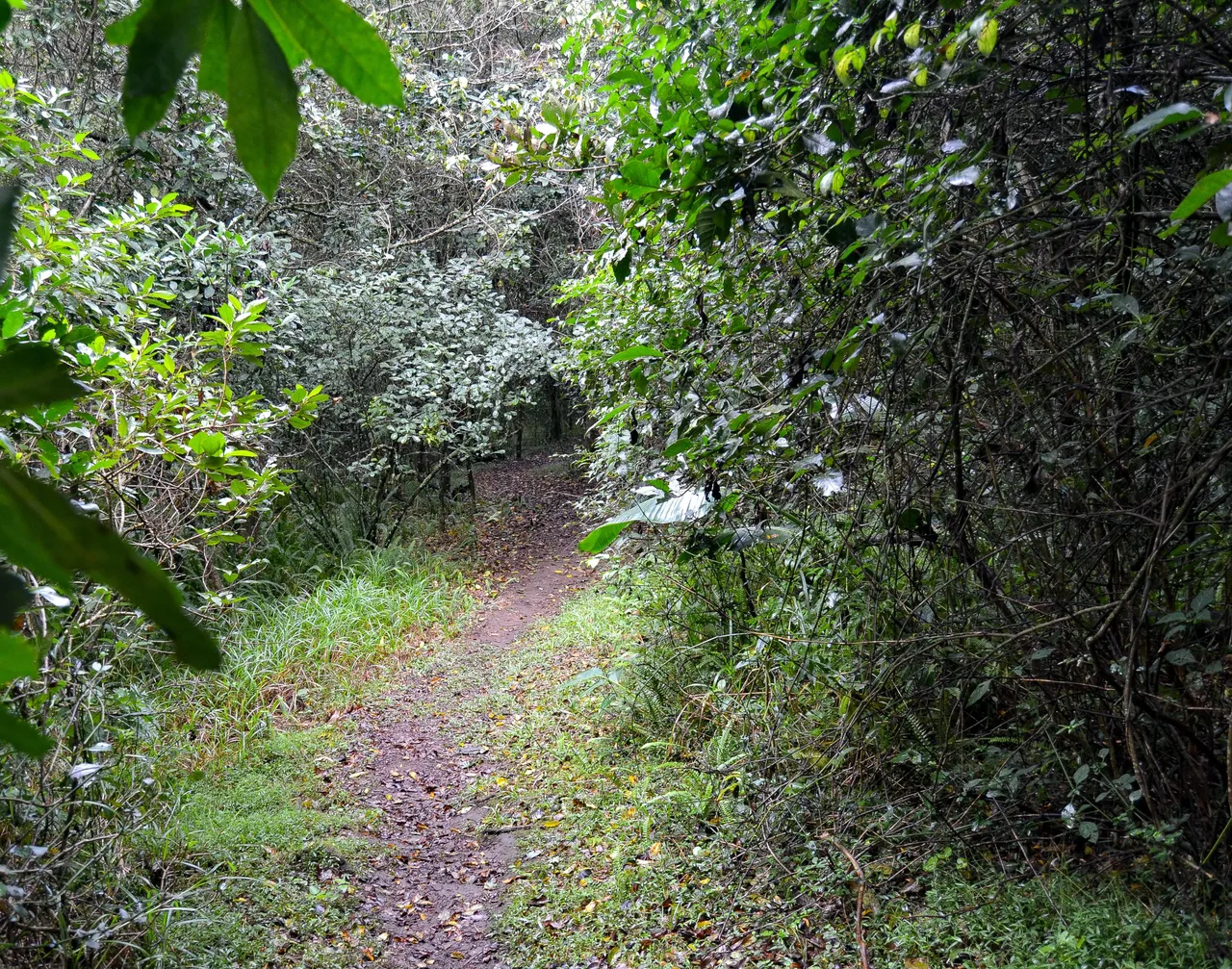 DSC_2200.jpg