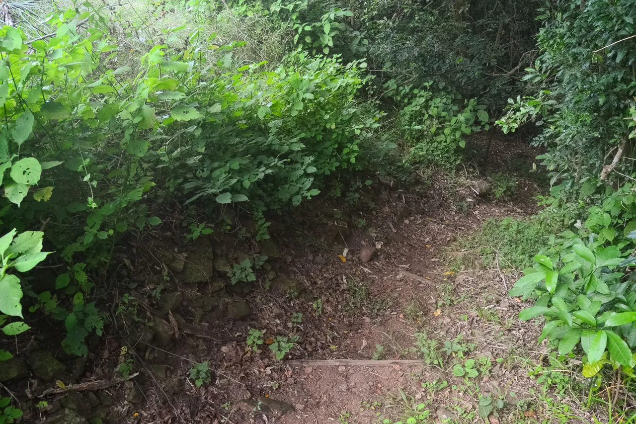 DSC_7298.jpg