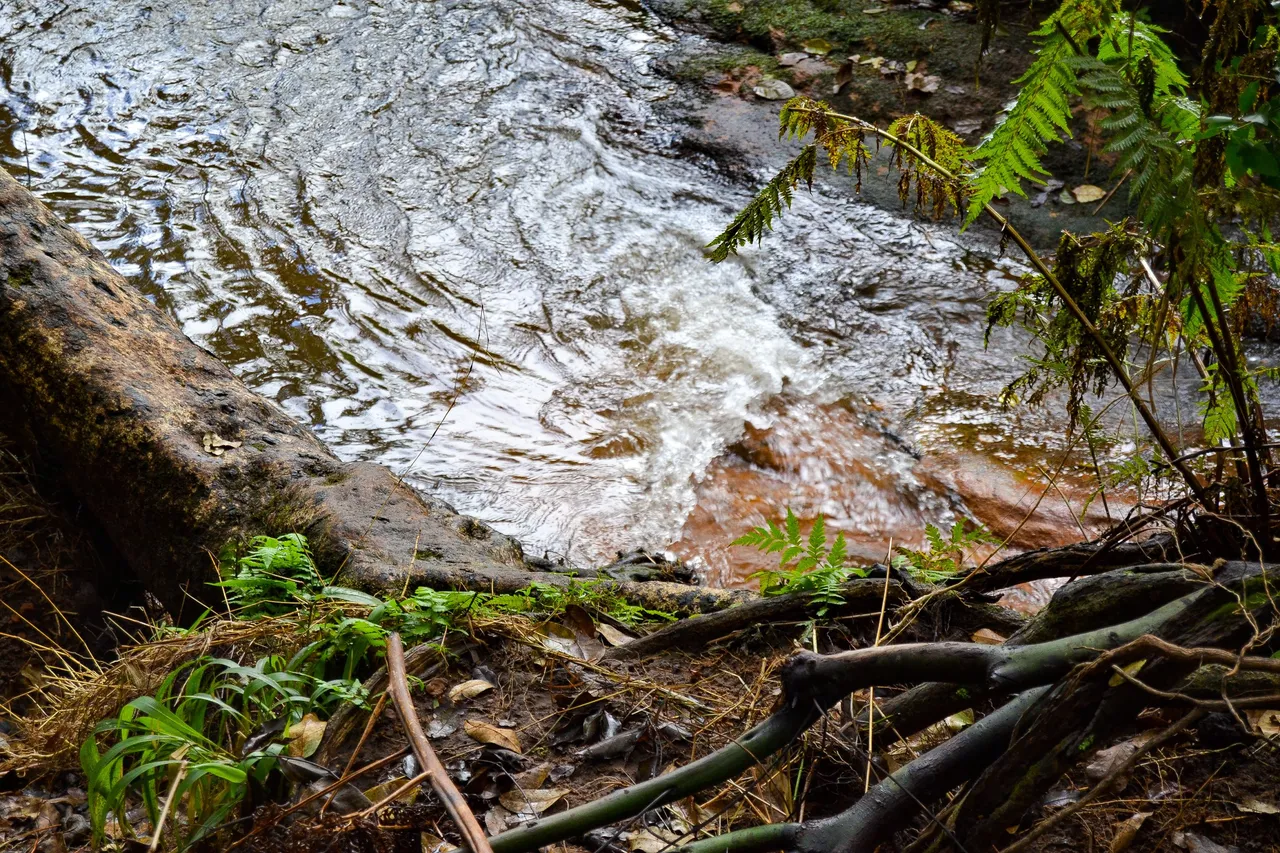 DSC_2213.jpg