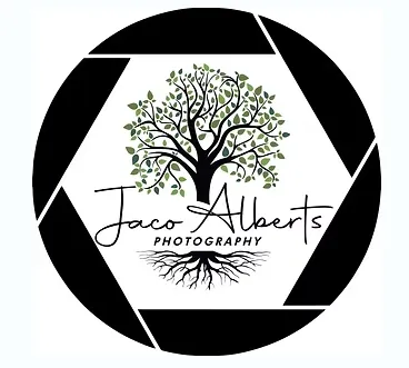 Business Logo.PNG