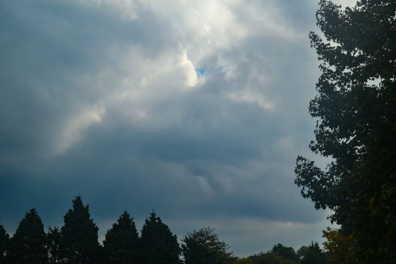 DSC_2061.jpg