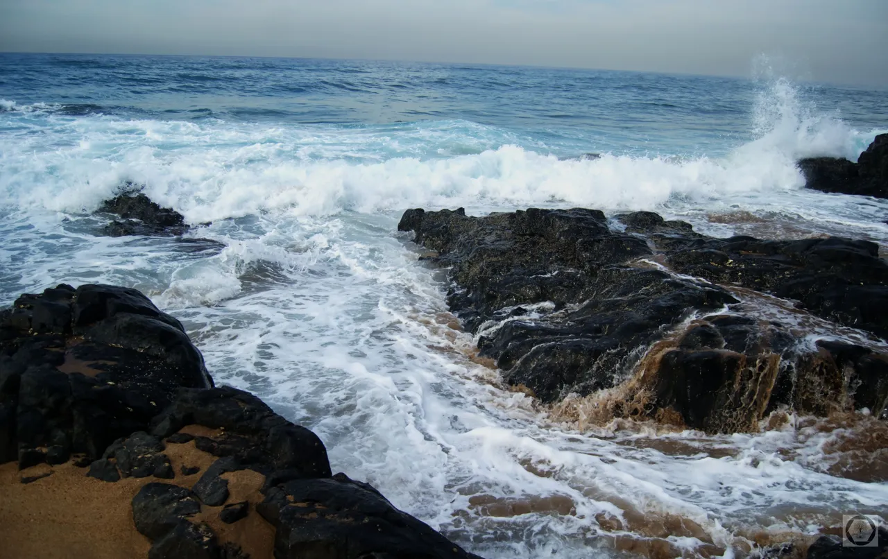 DSC_2447.jpg