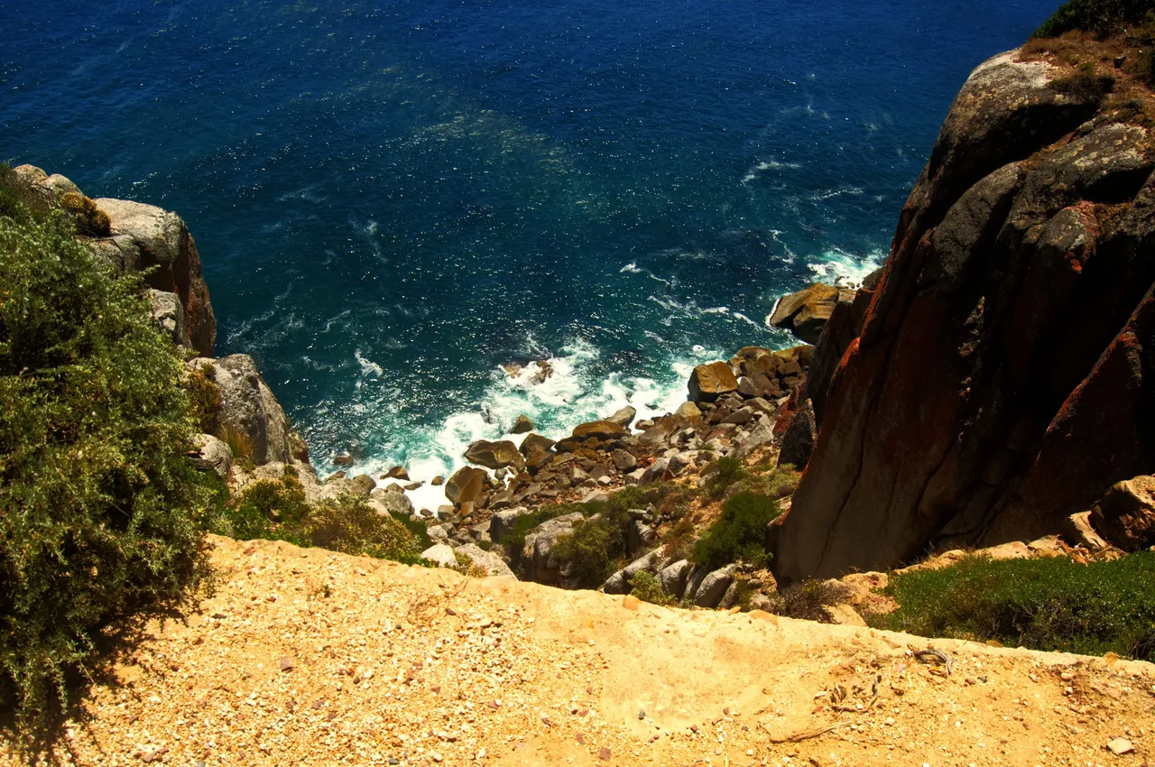 DSC_1199-1.jpg