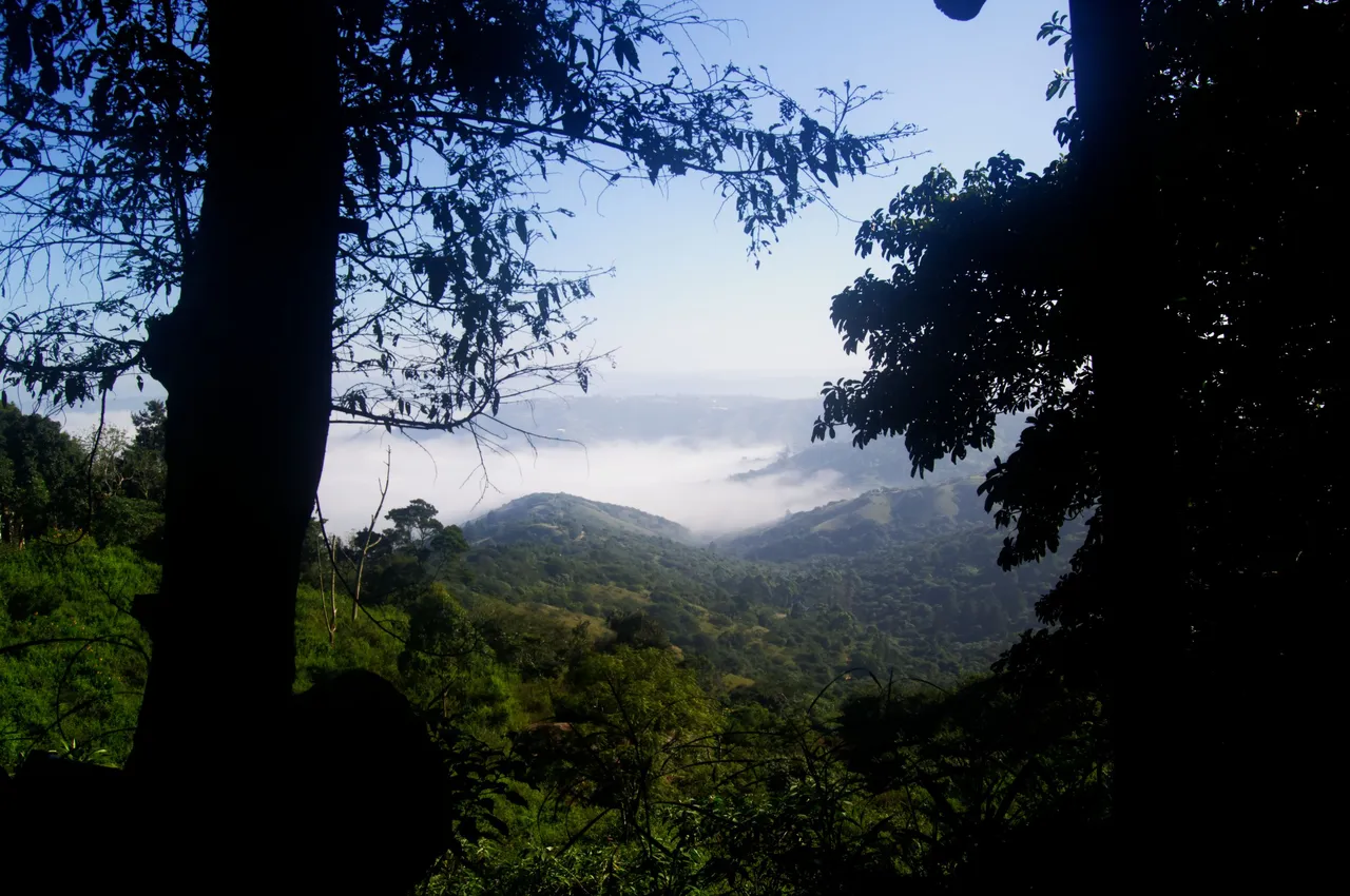 DSC_1620.jpg