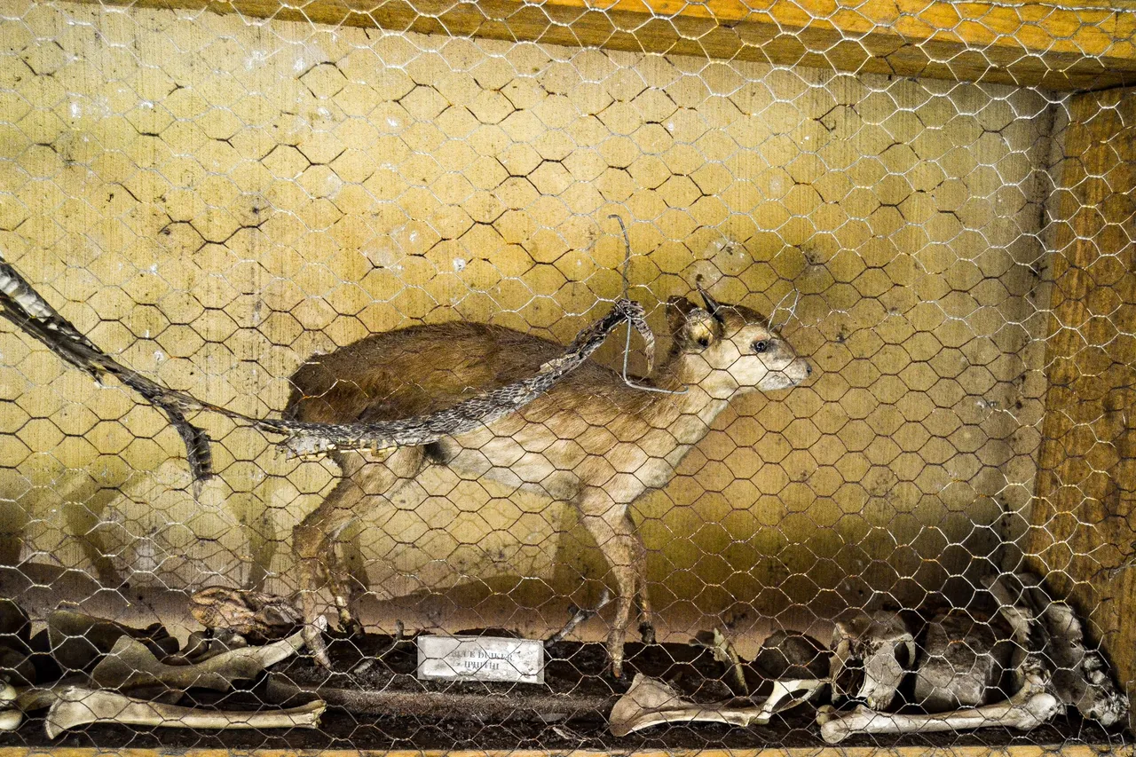 DSC_4104.jpg