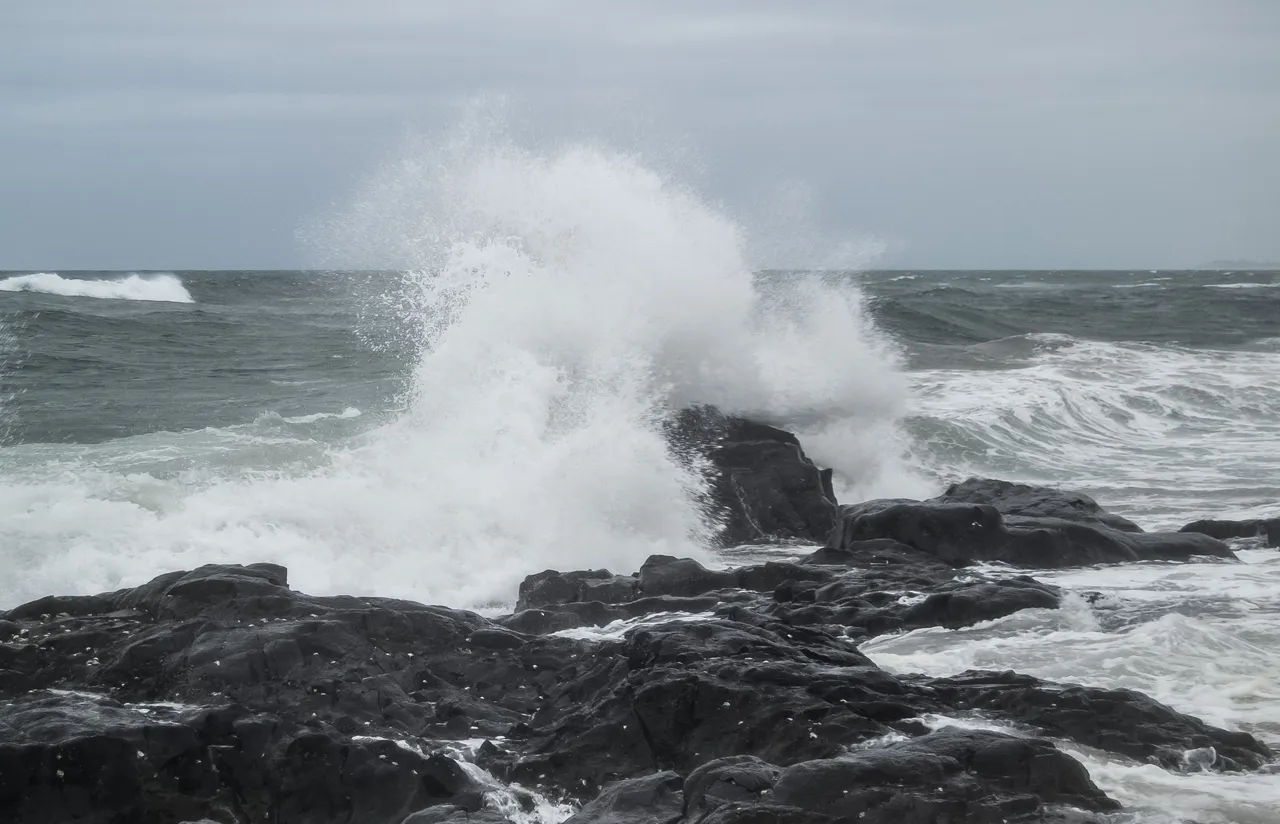 DSC_4573.jpg