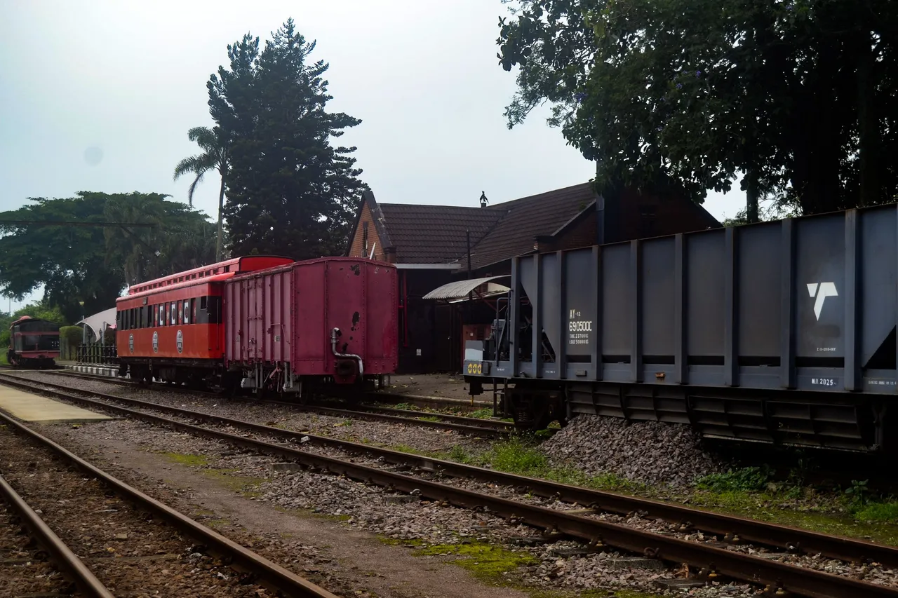DSC_1074.jpg