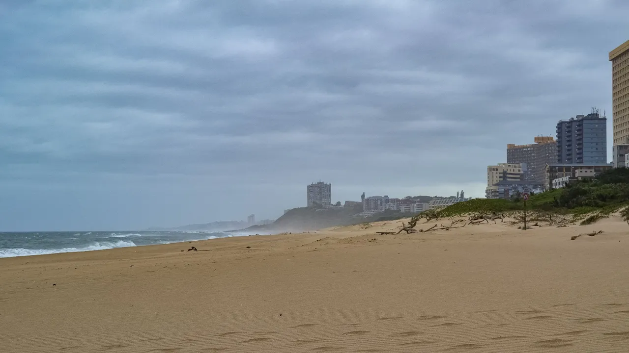 DSC_4536.jpg