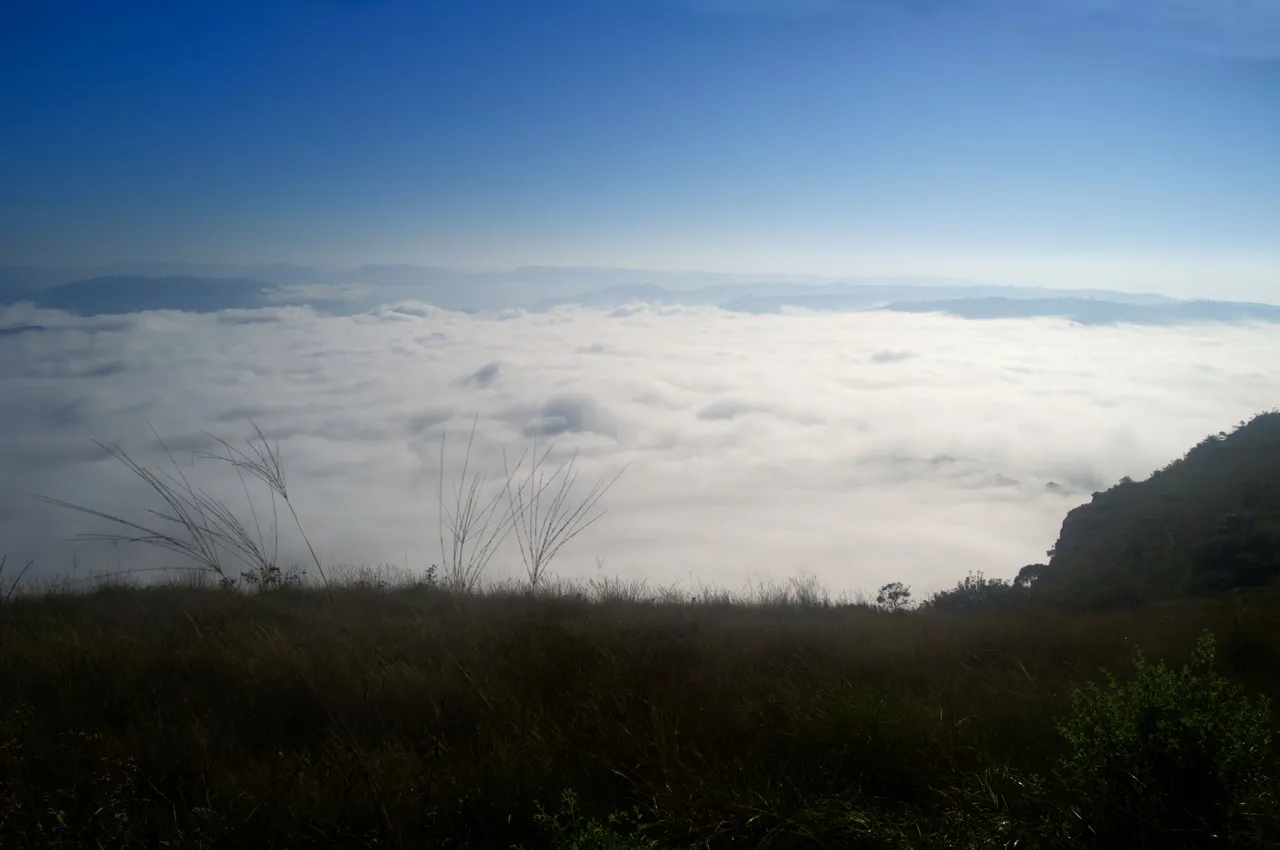 DSC_1585-1.jpg
