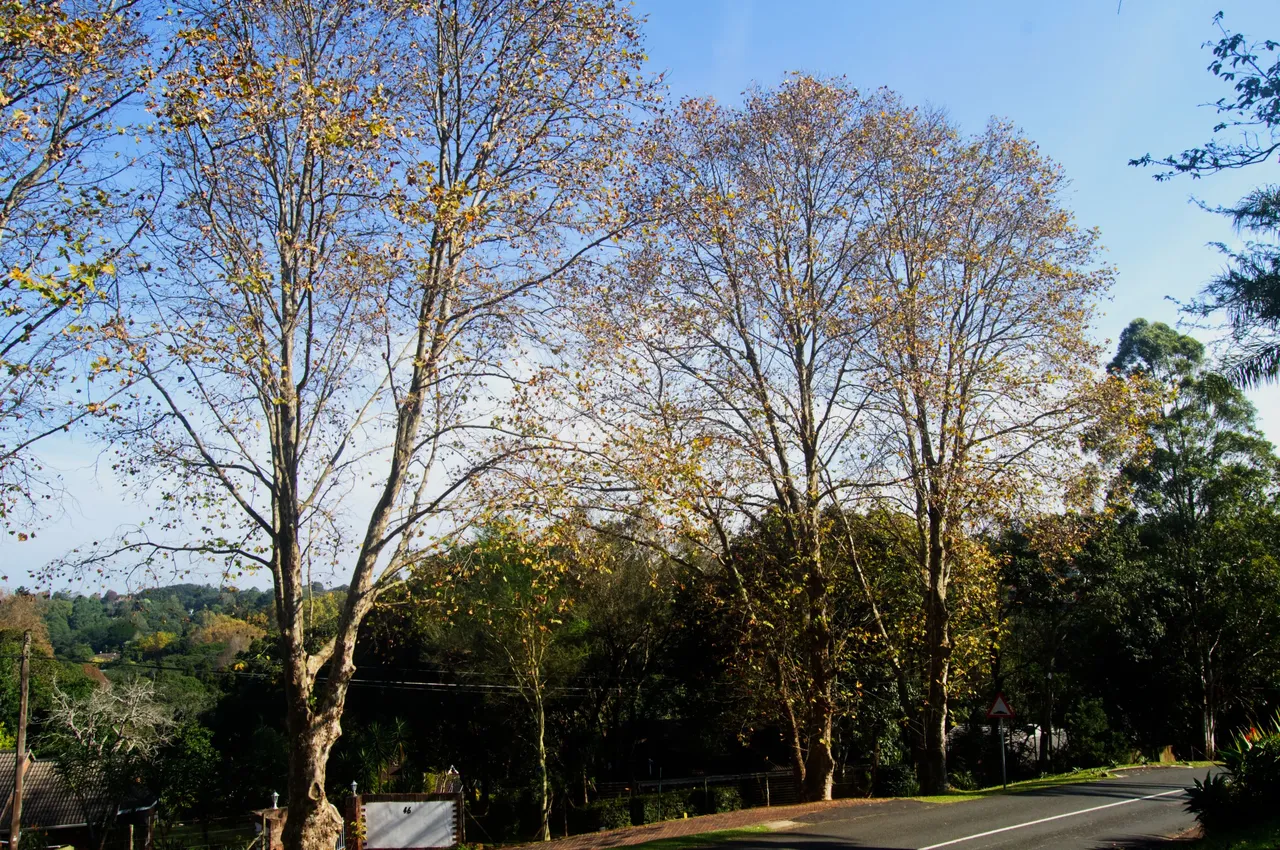 DSC_1664.jpg