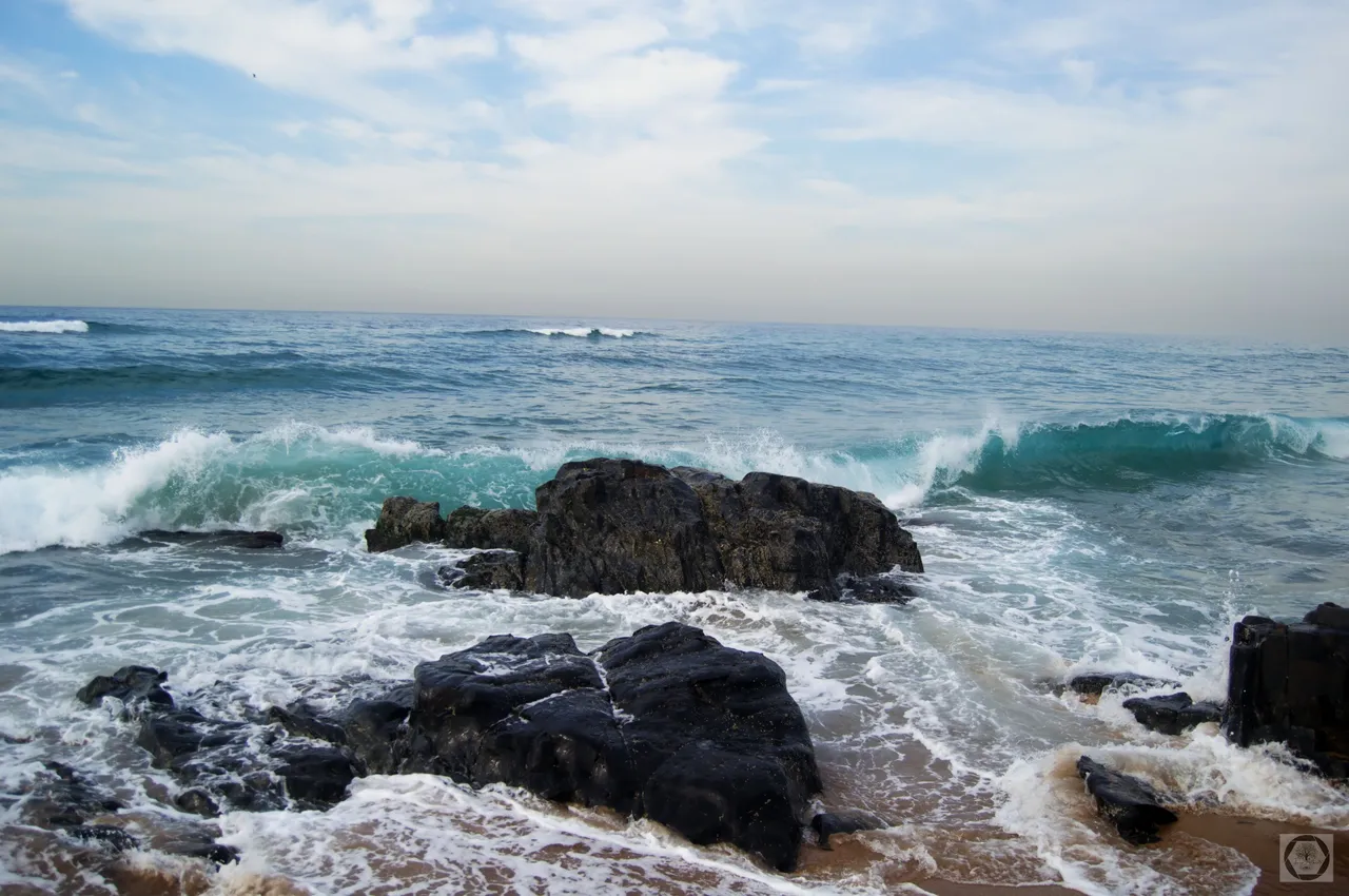 DSC_2494.jpg