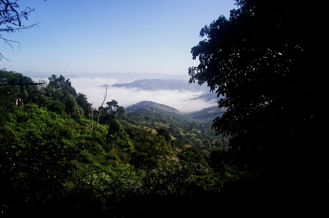 DSC_1622.jpg