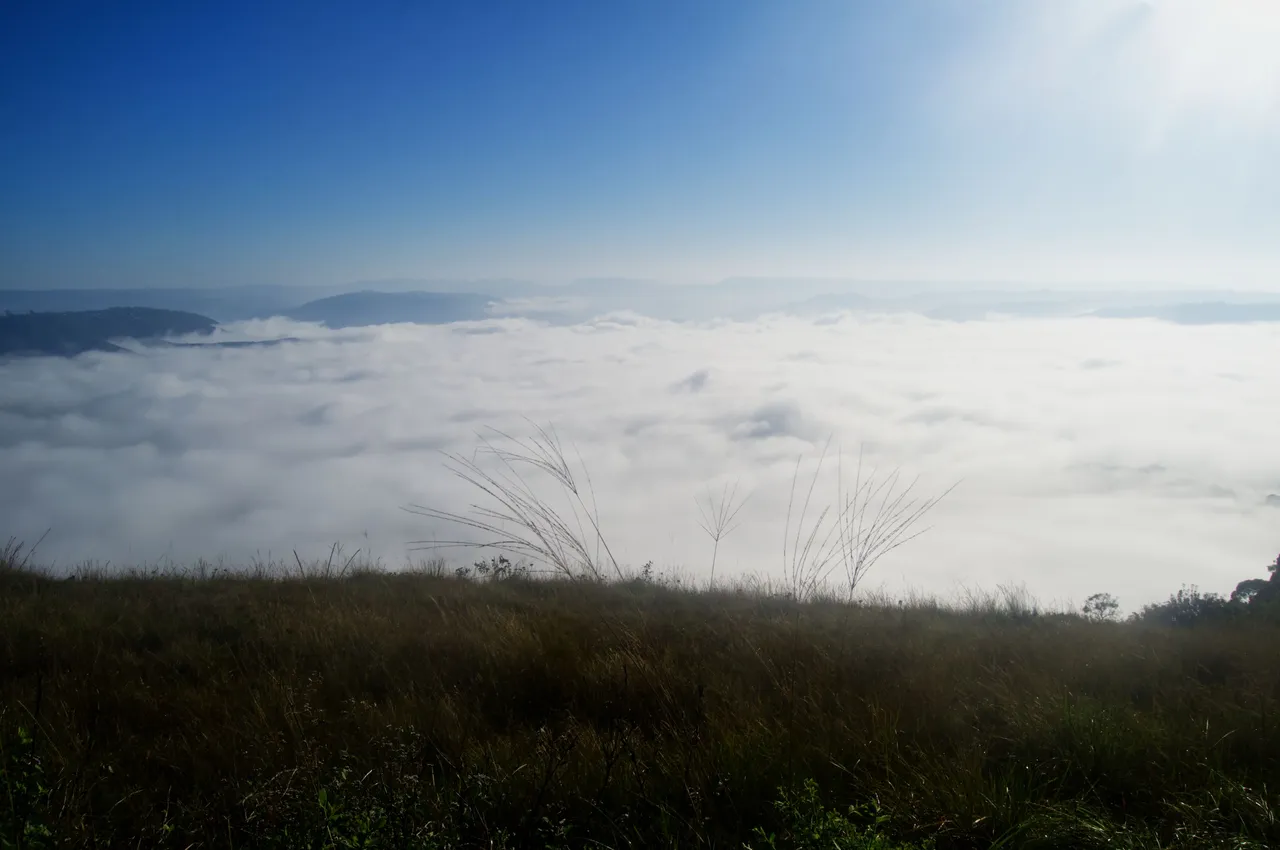 DSC_1584.jpg