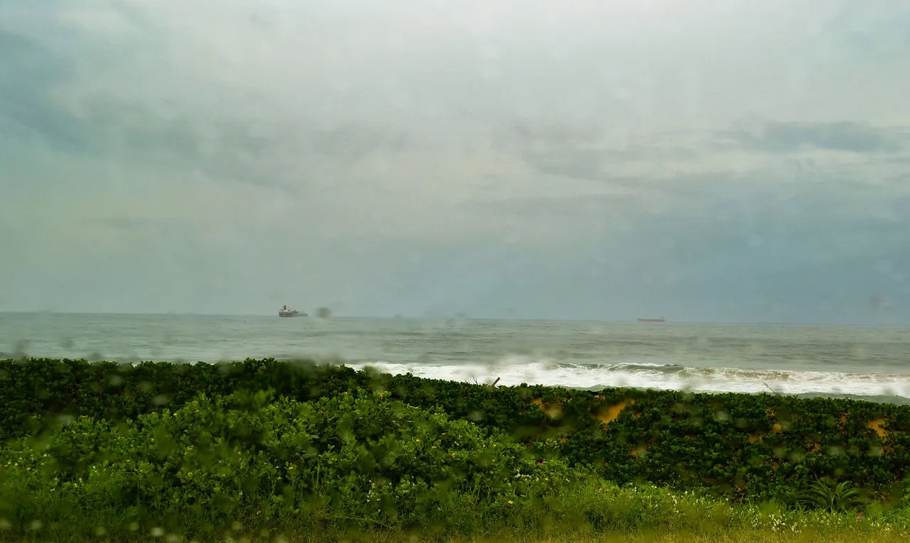 DSC_1994-2.jpg
