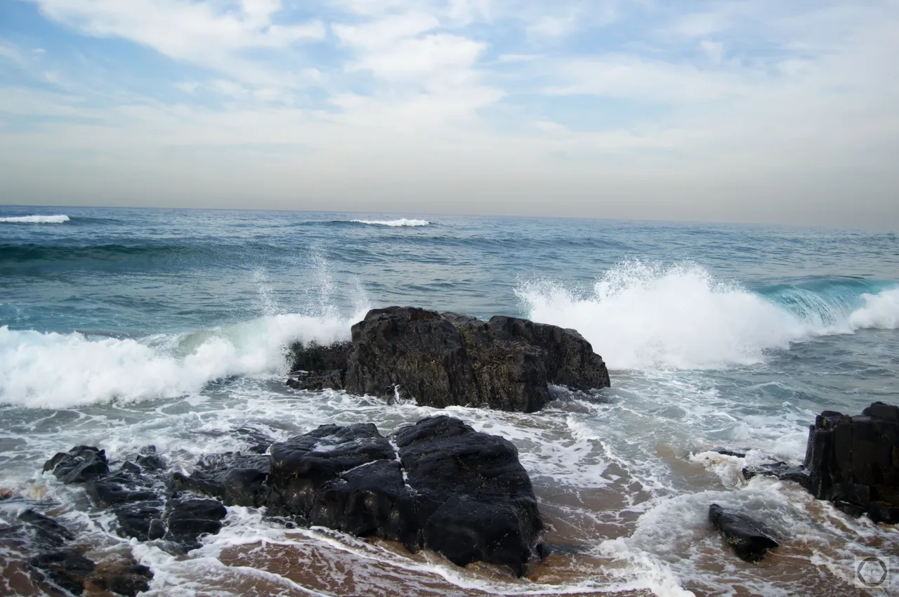 DSC_2496.jpg