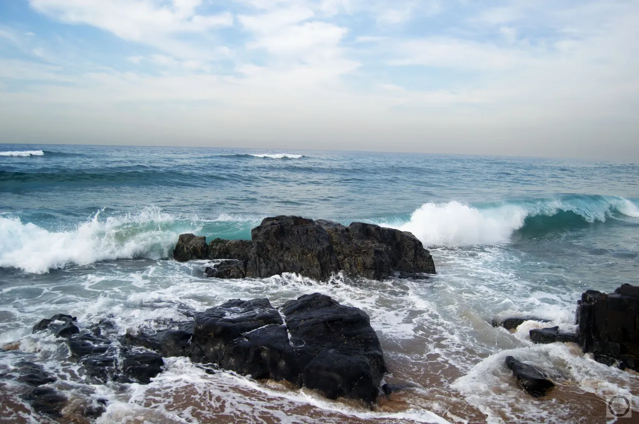 DSC_2495.jpg