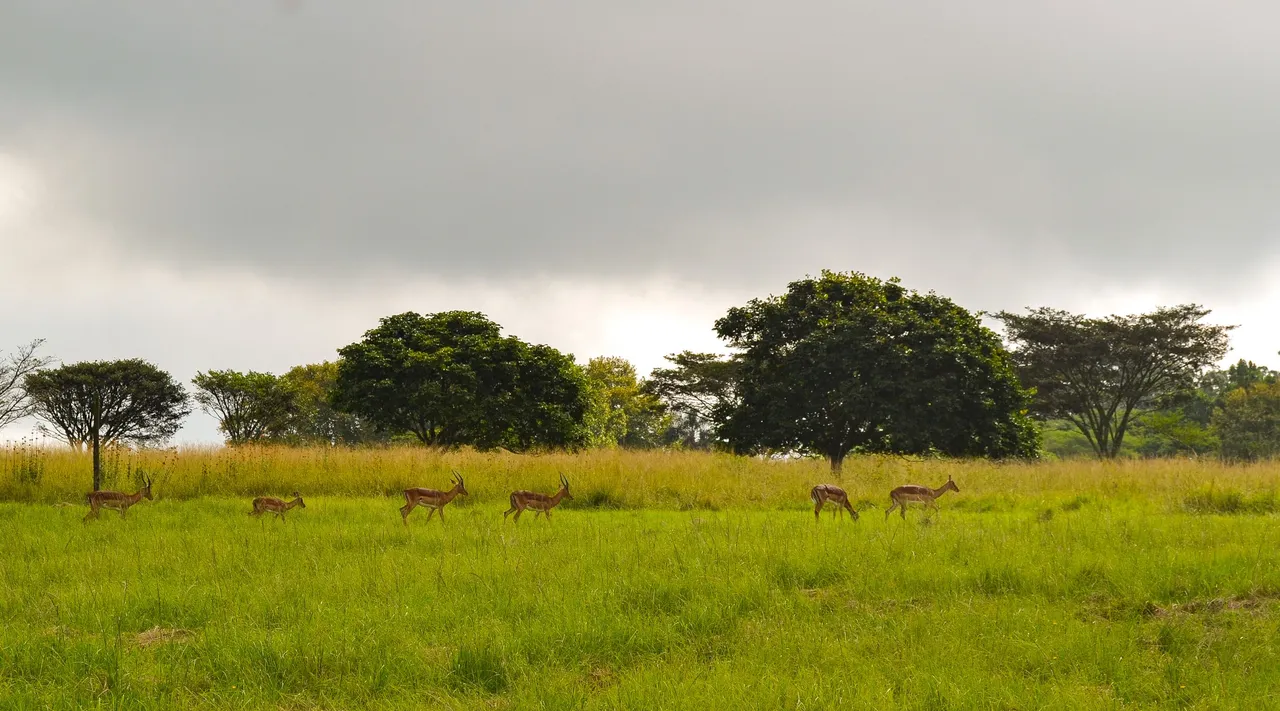 DSC_1982.jpg