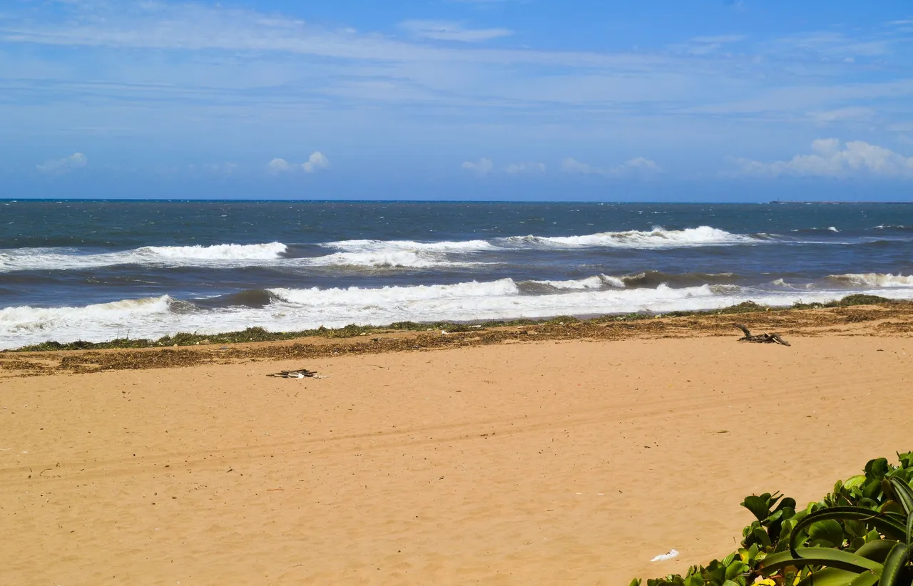 DSC_1478.jpg