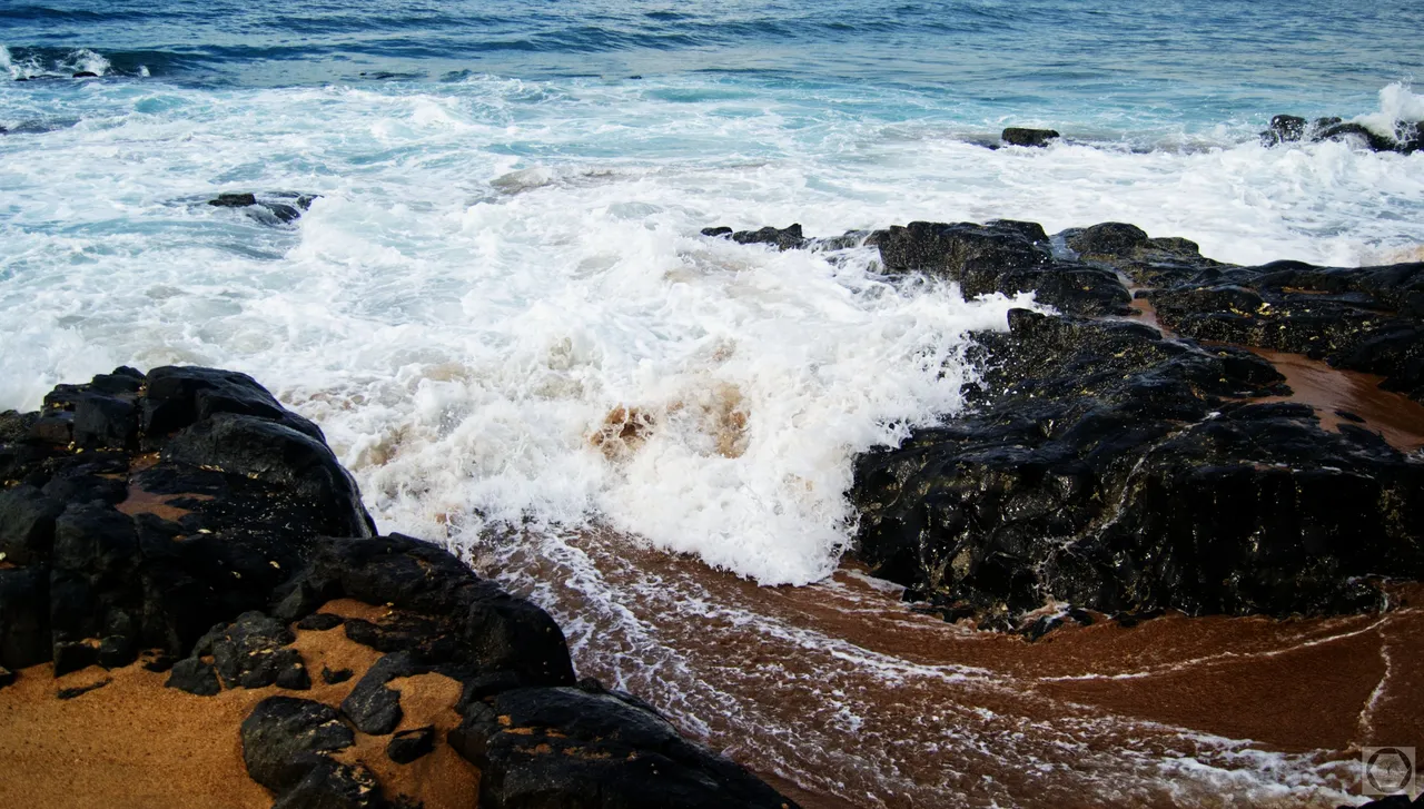 DSC_2449.jpg