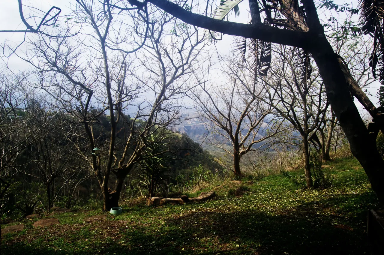 DSC_0856.jpg