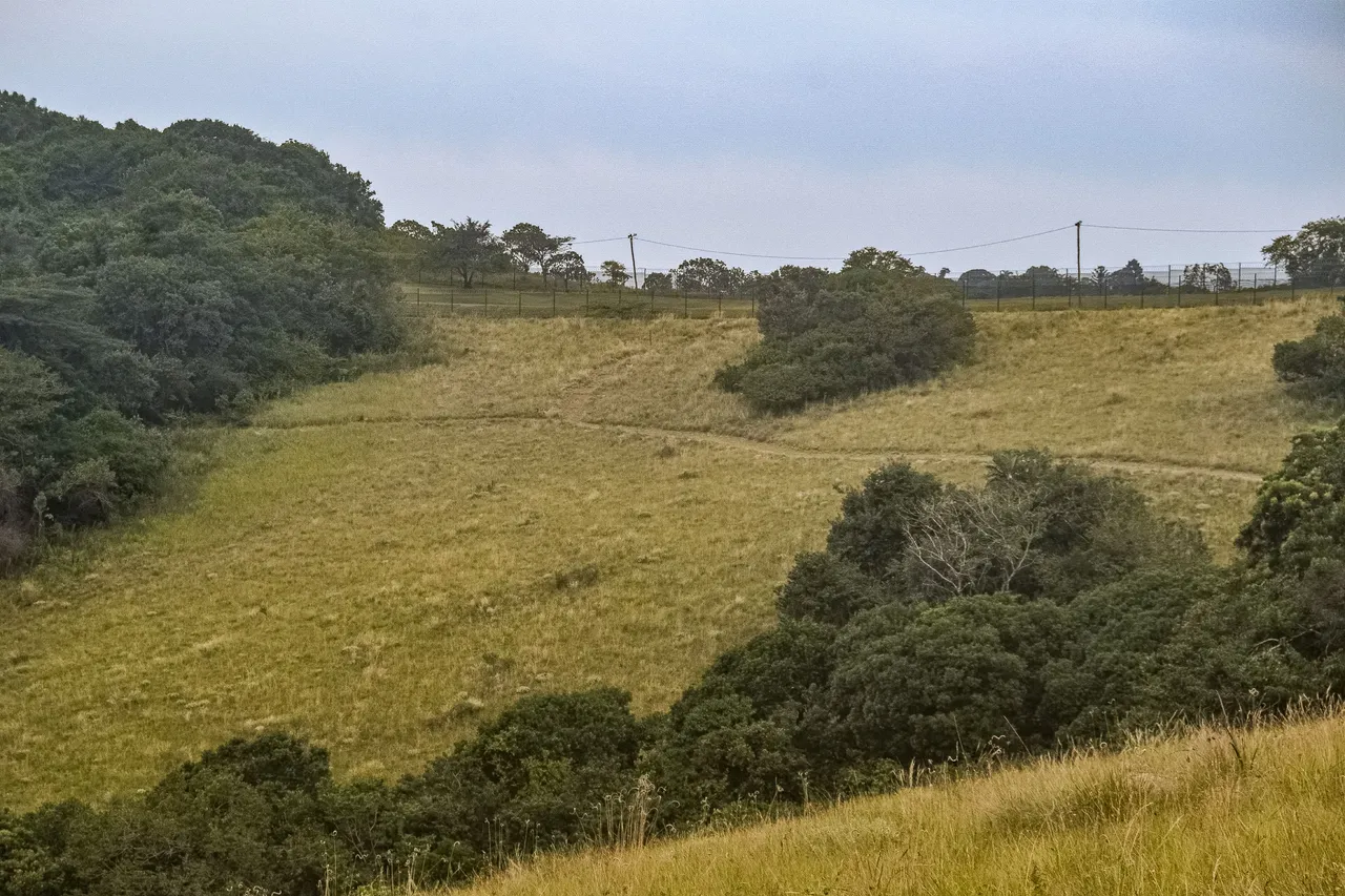 DSC_7281.jpg