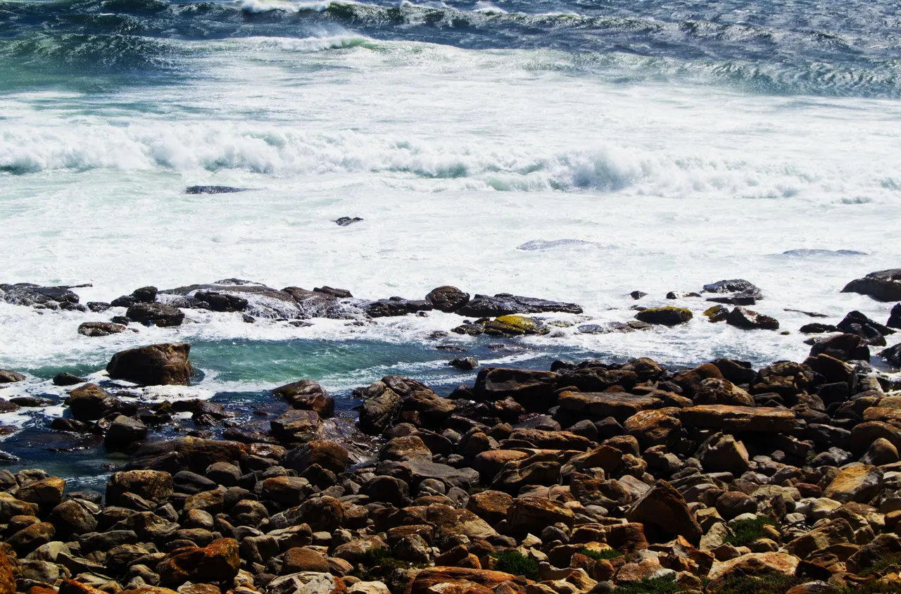 DSC_1274-1.jpg